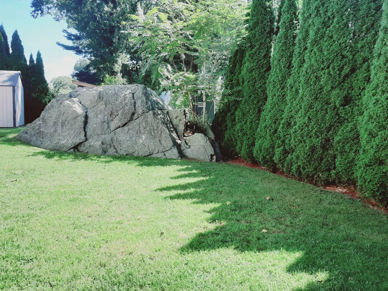 Full Yard Clean-up