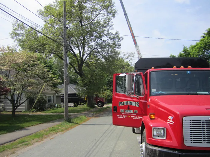work photo from pathfindertreeservice.com