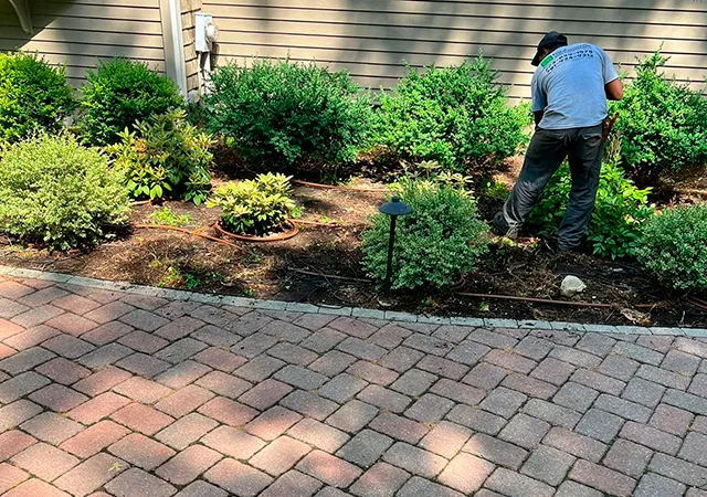 work photo from dsjlandscaping.com
