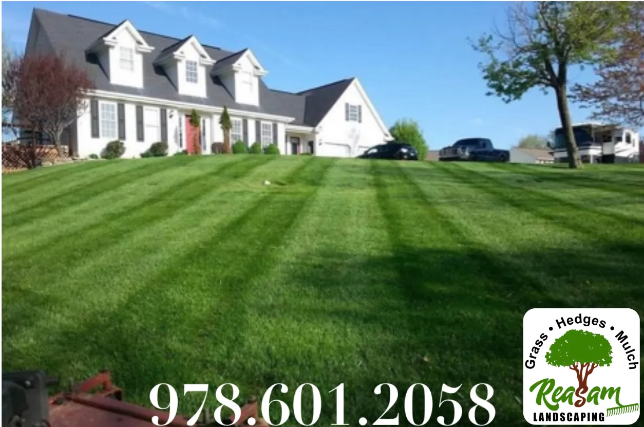 Reasam Landscaping & lawn Care Services Inc
