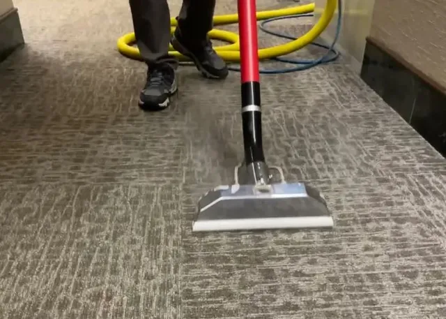 work photo from romancarpetcleaningservice.com