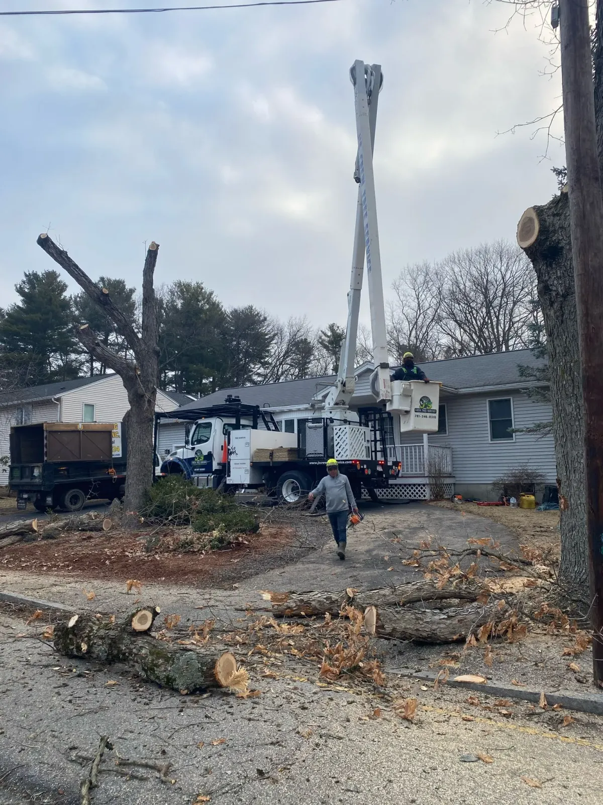 work photo from adantreeservices.com