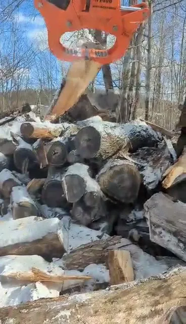 work photo from thetreeguynh.com