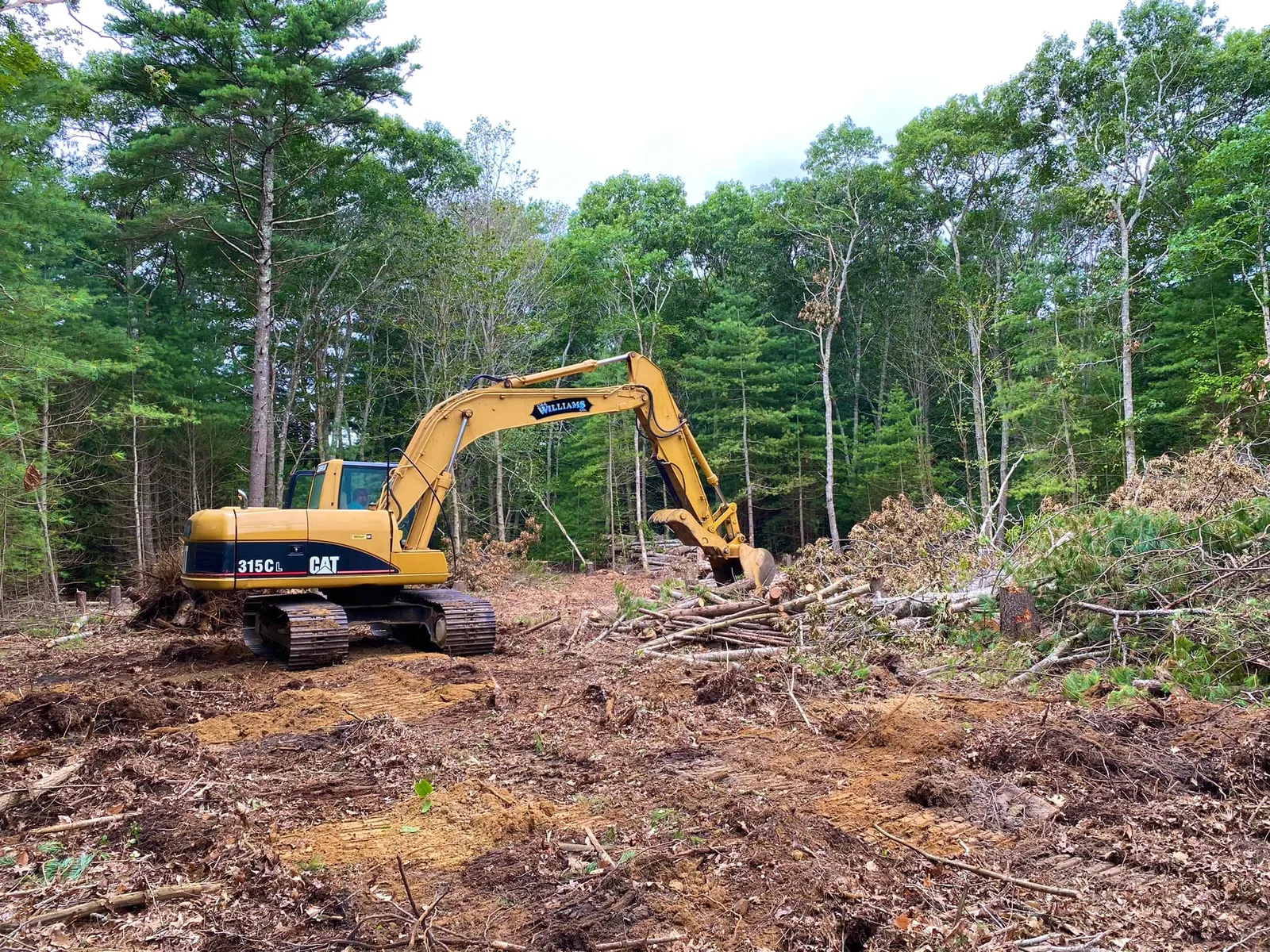 Land clearing Sandwich MA