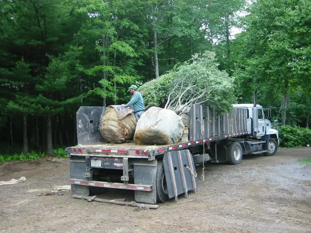 work photo from parkergarden.com