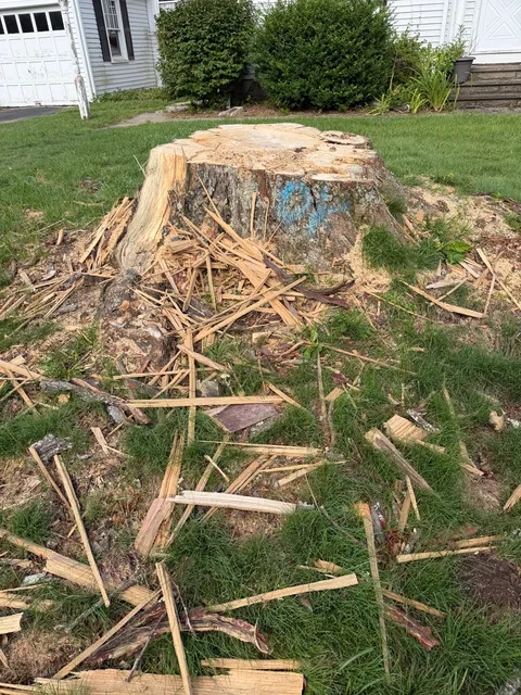 Tri-Son Stump Grinding researched project photo