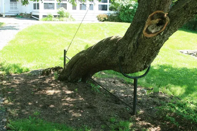 work photo from treeworks.com