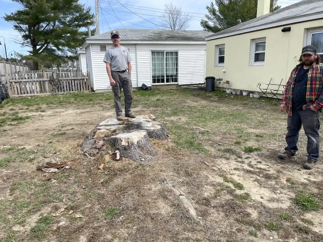work photo from stumpyoldmen.com