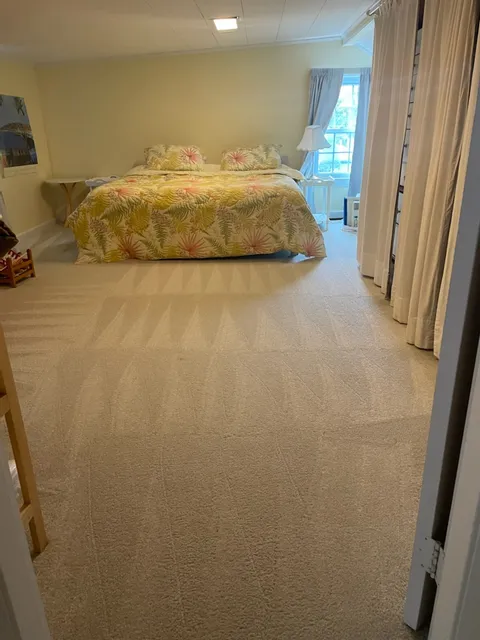 The Cleaning Authority - Norwell