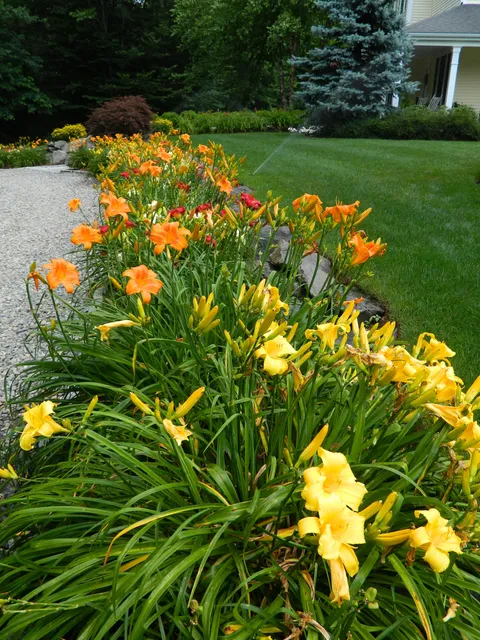 Live Earth New England, Inc. work photo