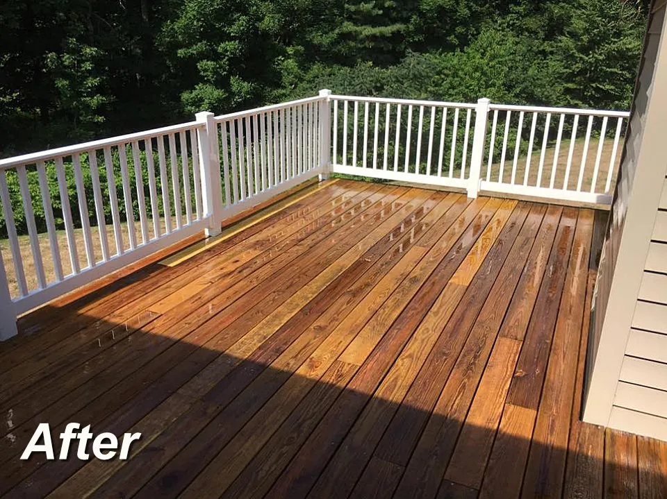 Total Deck Care researched project photo