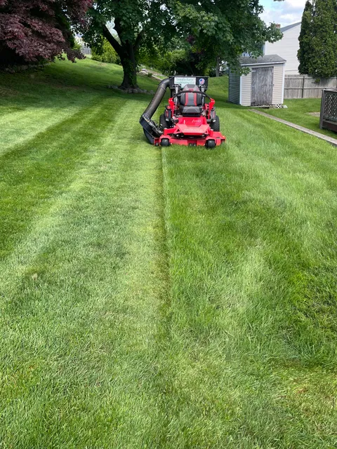 Down to Earth Landscaping LLC work photo