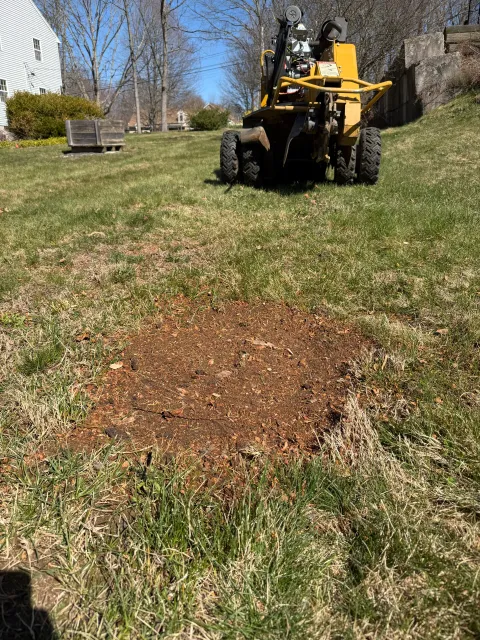 Tri-Son Stump Grinding researched project photo