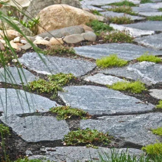 walkway2