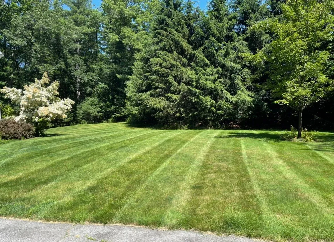 Lawn mower stripes on freshly cut grass in Groton, MA home by Gardner’s Landscaping, LLC