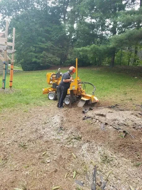 work photo from jhernandezlandscaping.com