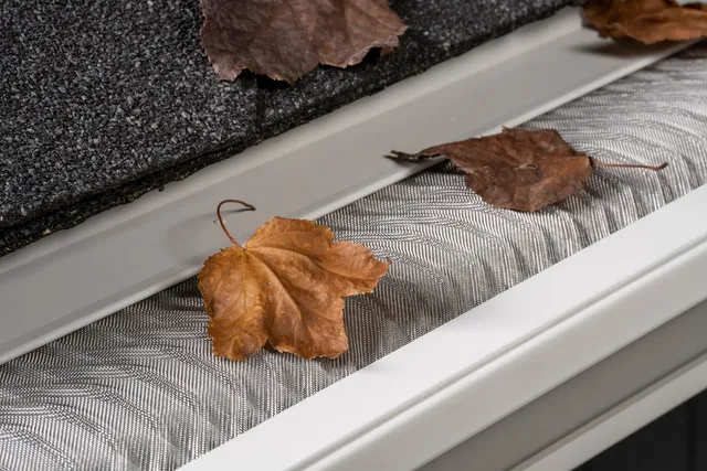 TNT GUTTER PRO LLC