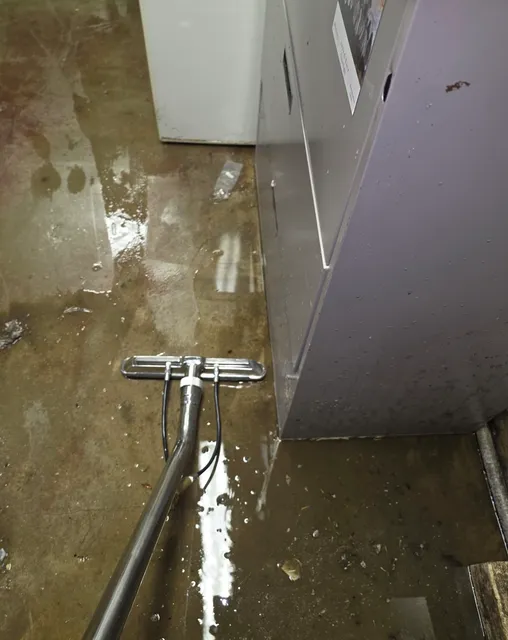E.D.W.A.R.D Water restoration and mitigation work photo