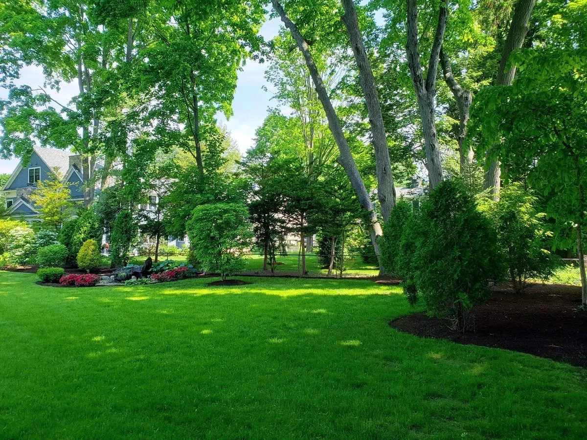 JR's Landscaping & Sons LLC