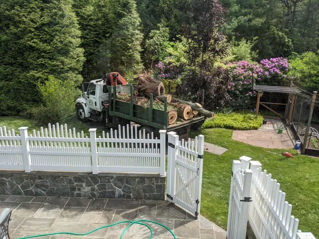 Evergreen Tree Service Wilton work photo