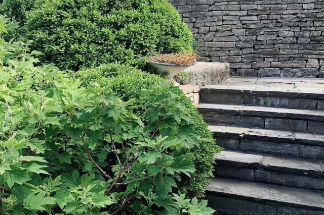 Webster Landscape, Inc. researched project photo