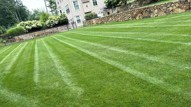 work photo from cdlandscapingma.com