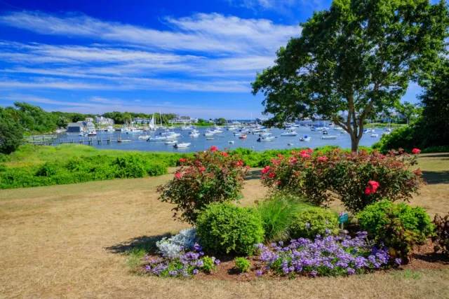 Beautiful View