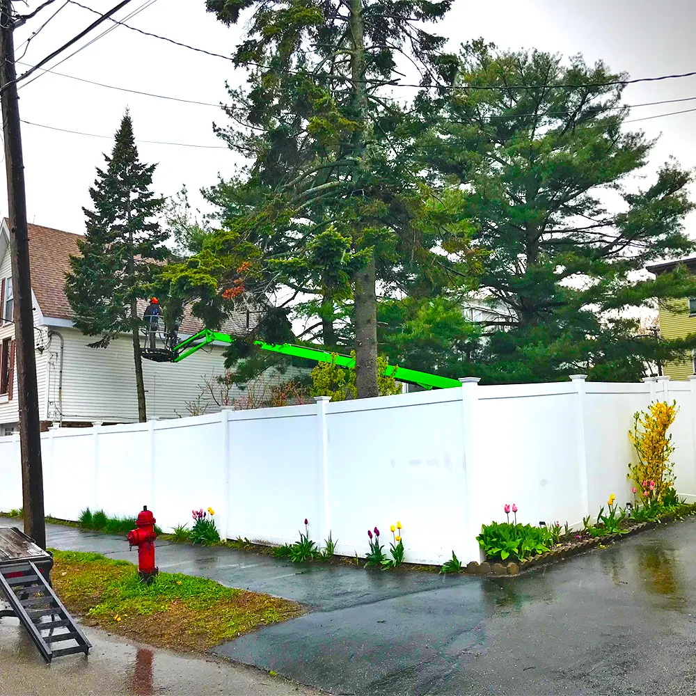 Pro Tree Service researched project photo