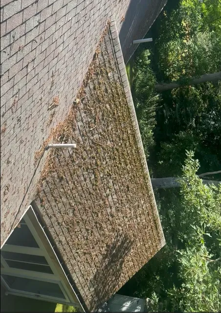 After: Soft-Wash Moss/Garden off Roof