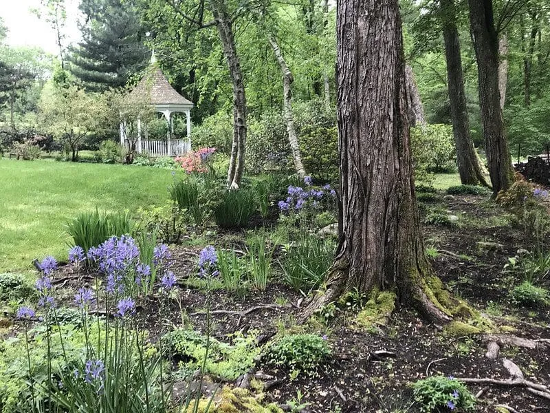 work photo from cultivargardens.com