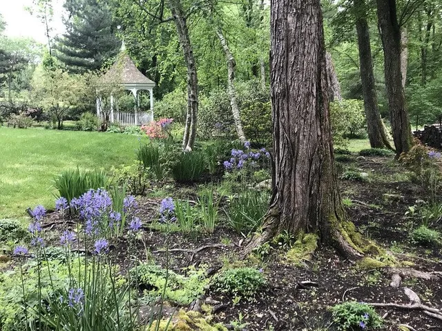 work photo from cultivargardens.com