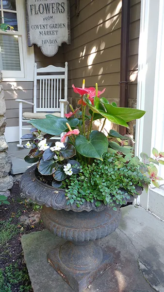work photo from finegardeners.com