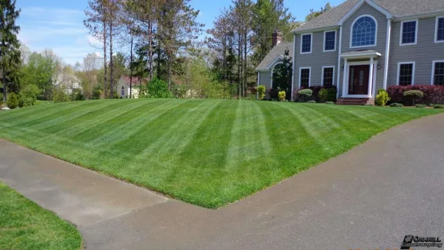 Lawn services in Rehoboth, Massachusetts