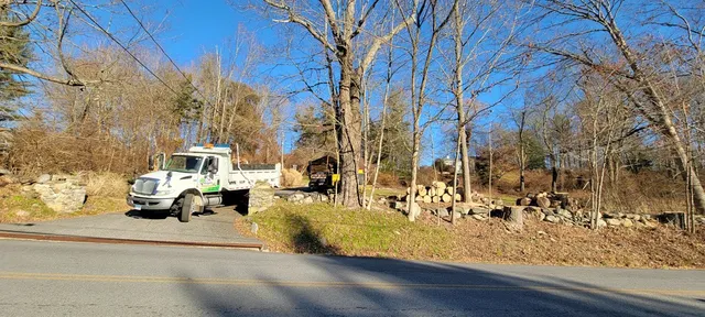 work photo from angelotreeservices.com