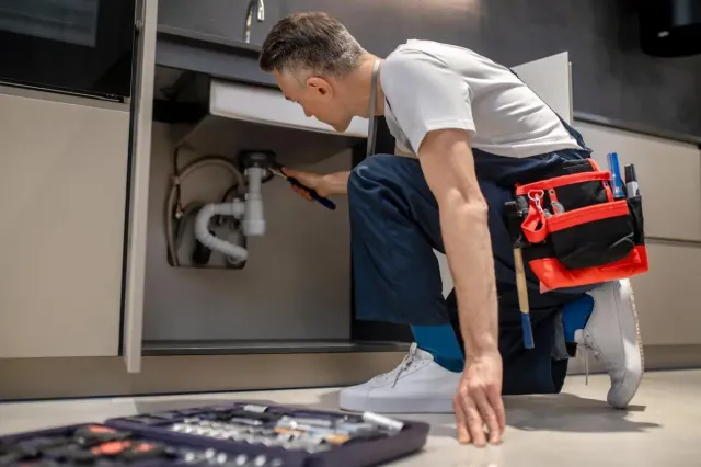 Professional Plumbing Services