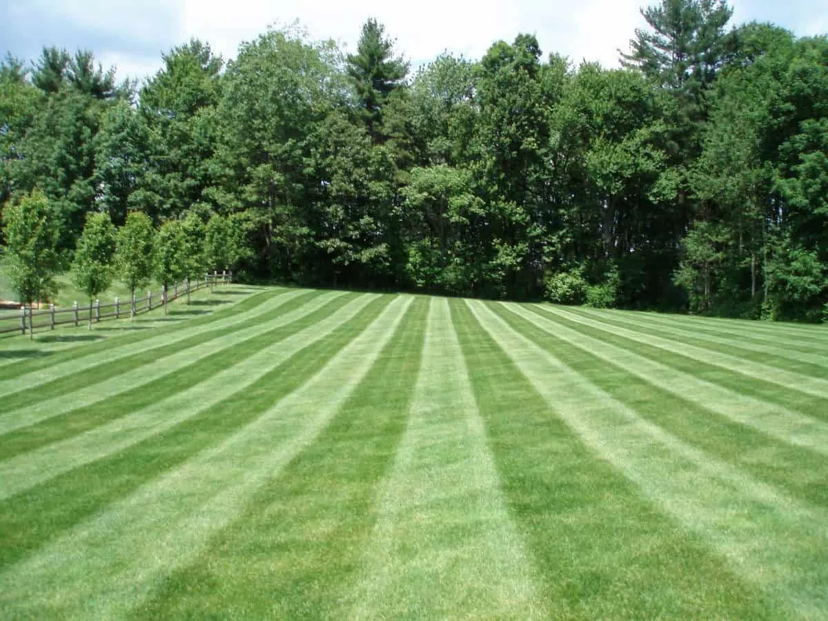 work photo from randalllandscaping.com
