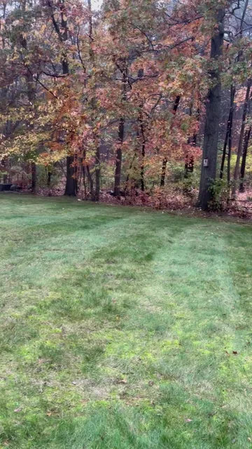 Lawn Care Essentials work photo