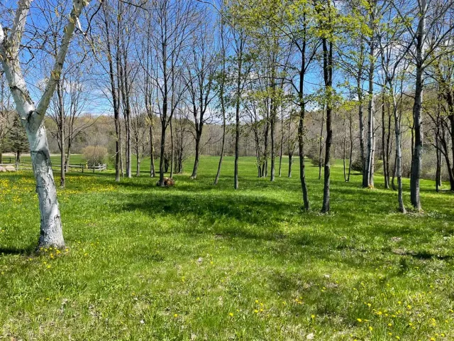 work photo from vtlandmaintenance.com