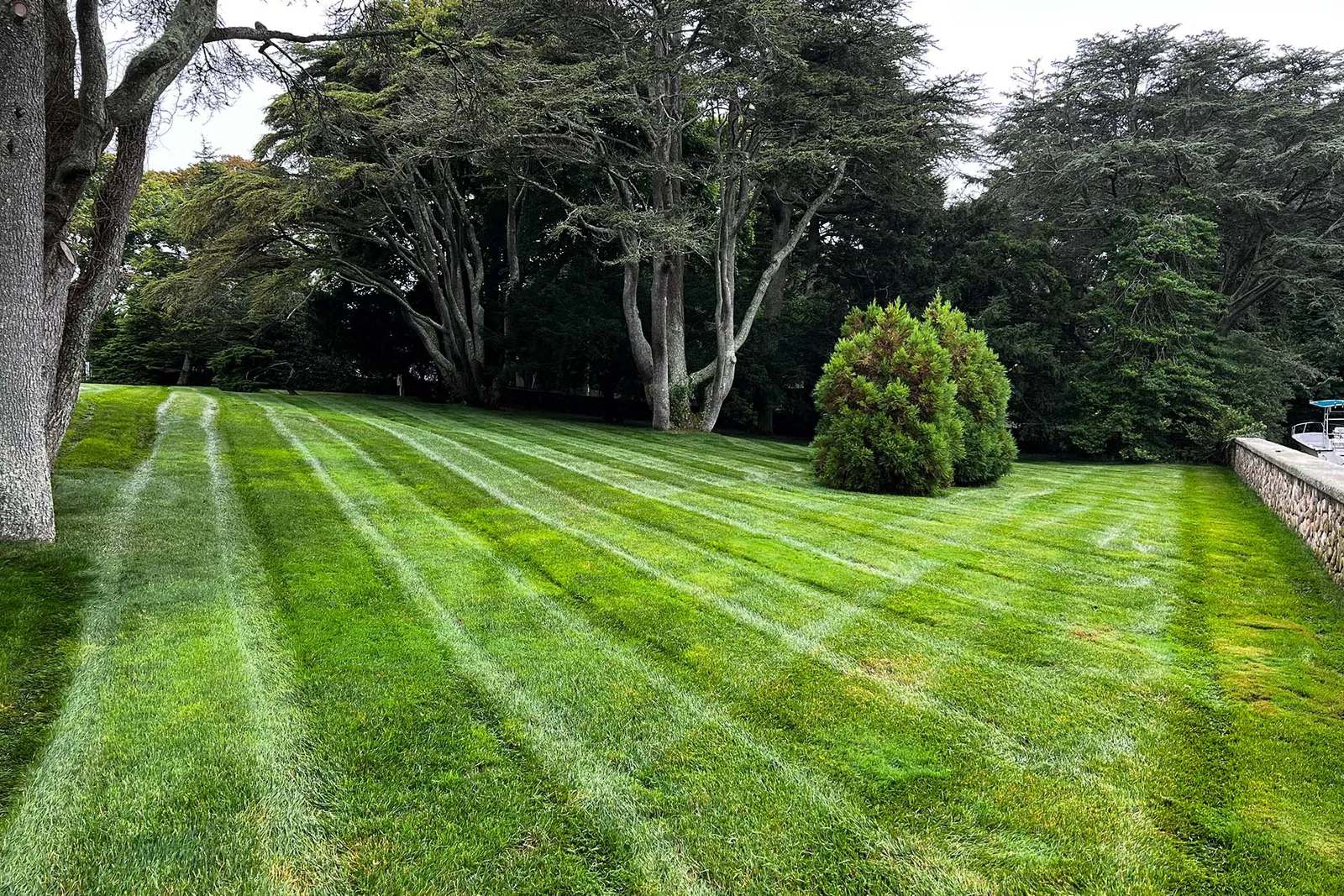 lawn stripes after lawn care service near me in Massachusetts