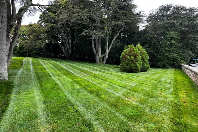 lawn stripes after lawn care service near me in Massachusetts