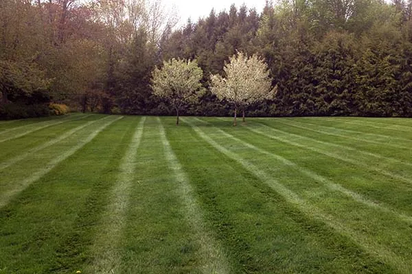 work photo from johnsonsmasonryandlandscaping.com
