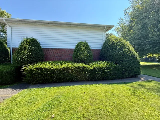 Adnan landscaping LLC work photo