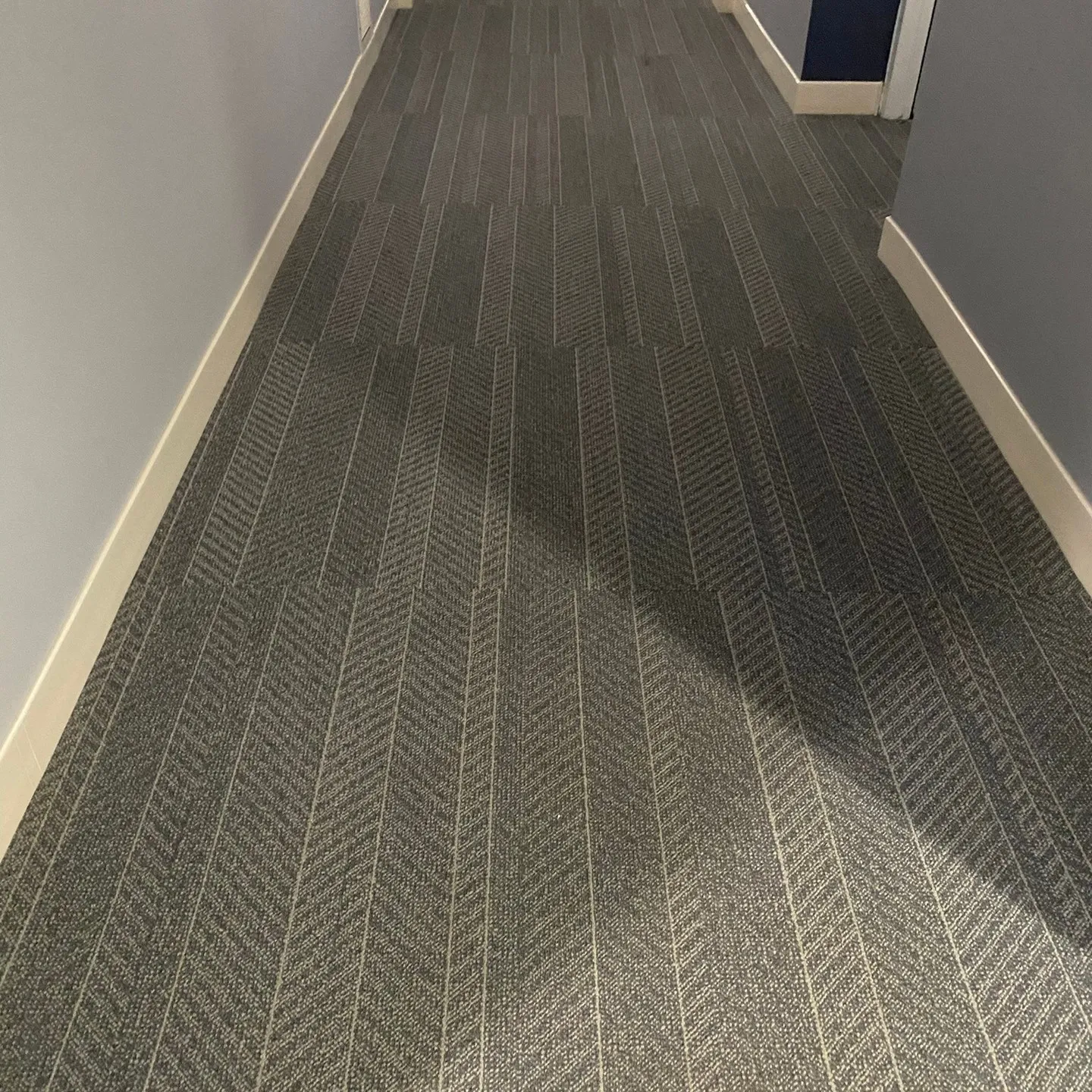 Hallway: Shaw Contract Collective I Carpet Tile, a superb quality carpet, great for high traffic common areas. 
Bath: Pro Spec Tile, a clean bright look to any bathroom.
Laundry: Mohawk Living Local Terrazzo Randazzo. Smart look and easy care.
