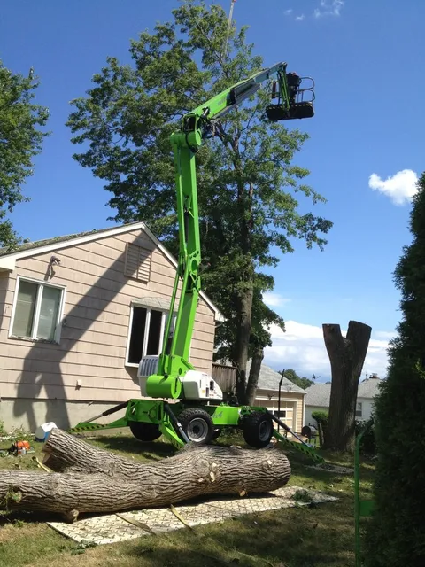 Clear Cut Tree and Lawn Care LLC work photo