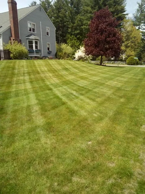 Dan's Lawn and Yard Maintenance LLC work photo