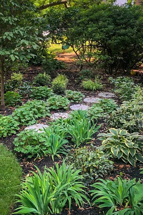 New England native plantings shade garden with stone steps