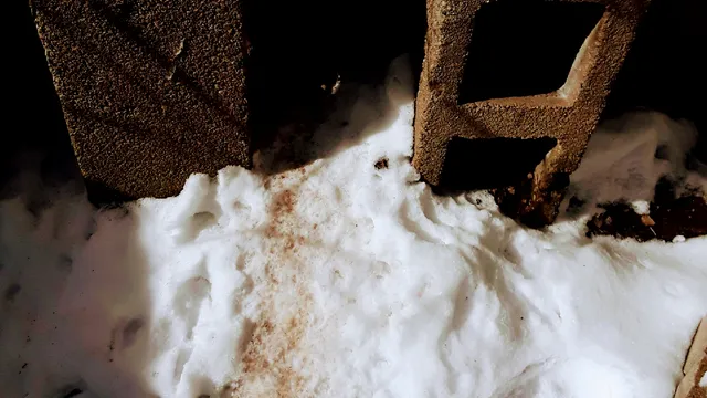 Home & Business Pest Control work photo