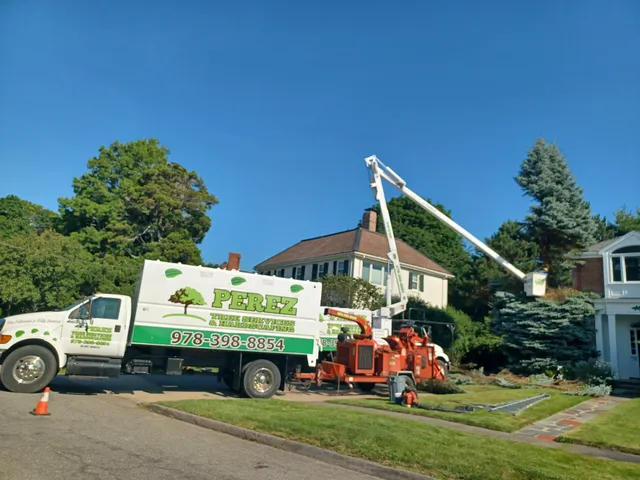 Perez Tree Service & Hardscaping work photo