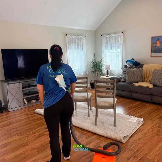 Pure Clean Pro work photo