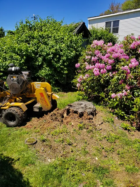 Earth Dynamics Of New England work photo
